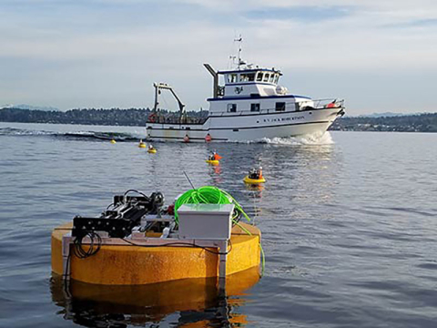 MHK technologies in the ocean. 