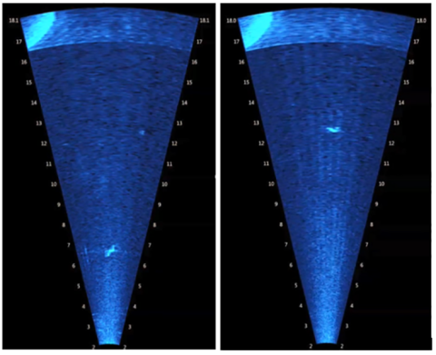 Sonar tracks used in the Electric Power Research Institute’s project on Deep Learning for Automated Identification of Eels.