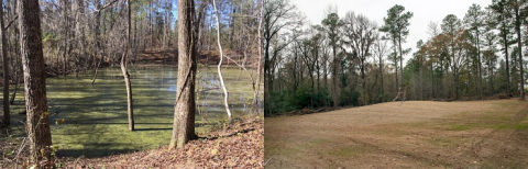 Before and after: A former waste basin near the center of the 300-square-mile Savannah River Site is shown at left prior to cleanup. Workers completed cleanup of the site, transforming it into an open field of grass, at right.