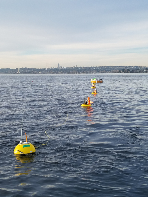 MHK technologies in the ocean. 