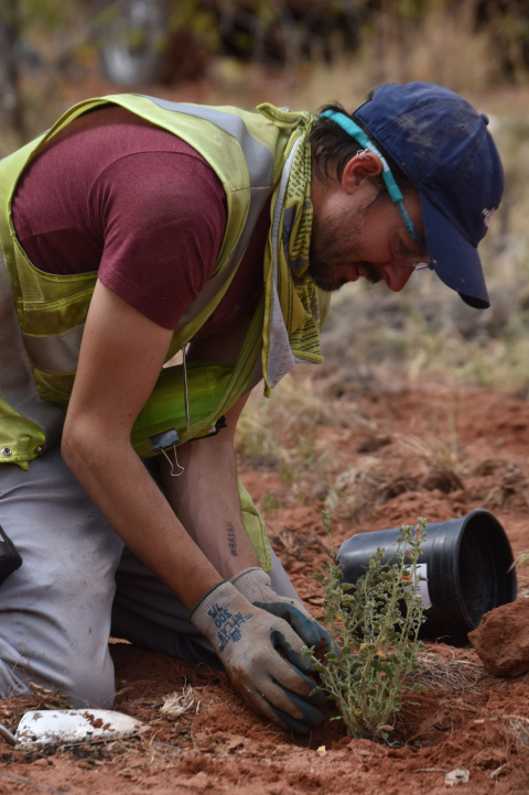 Environmental Technician James Ritchey plants globe mallow, a drought-tolerant plant, at the Moab Uranium Mill Tailings Remedial Action Project in this April 2020 photo.