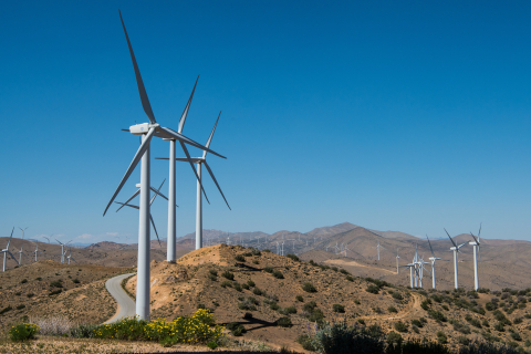 Women in Wind Energy Banner