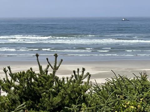 View of a beach and waves. 