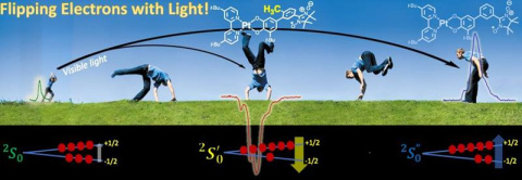 Visible light can control emissive or absorptive signals by influencing the relative populations of unpaired electron spin states (red dots on blue lines) in a population of molecules.