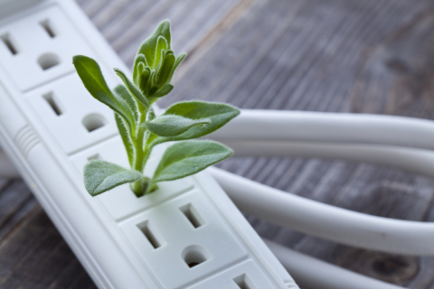 Green power strip