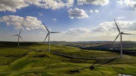 Wind turbines against the horizon.