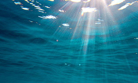 Sunlight shining through water.