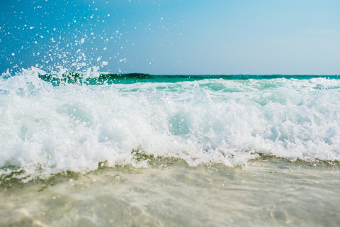 Beach and crashing waves.