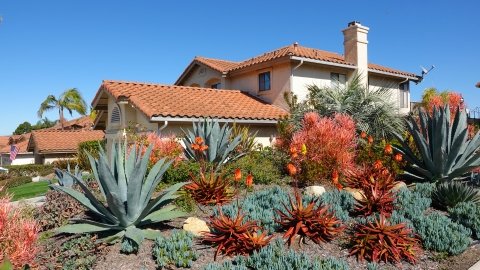 Xeriscaped landscaping