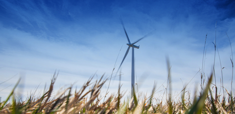 Blades of grass in the foreground with a wind turbine in the background against a clear sky.