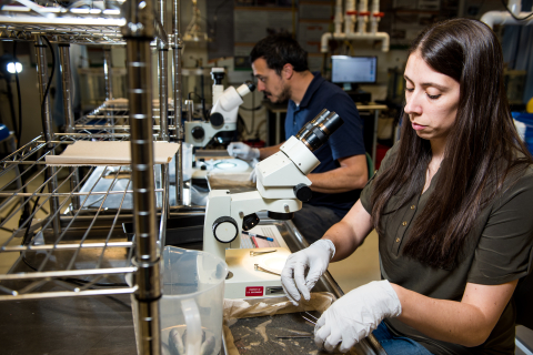 Two people work in a lab.
