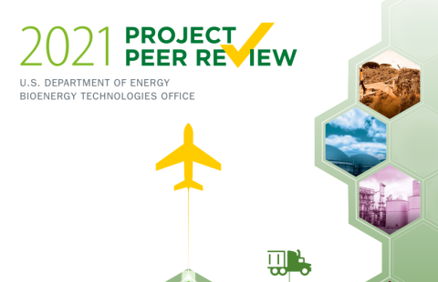 screenshot of the 2021 project peer review report