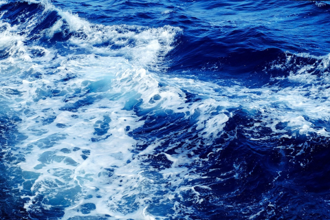 Close view of waves crashing in the ocean.