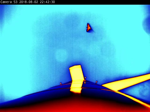 A colored silhouette of a bat in flight in the sky next to the colored shape of a wind turbine as viewed from the base of the tower.