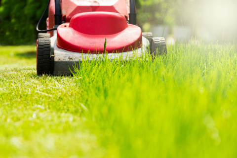 Lawnmower