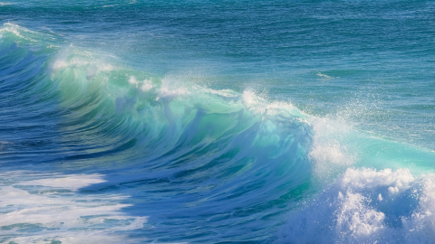 Ocean waves roll in the ocean.