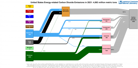 Carbon flow chart 2021