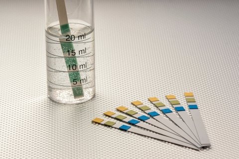 Water test kit