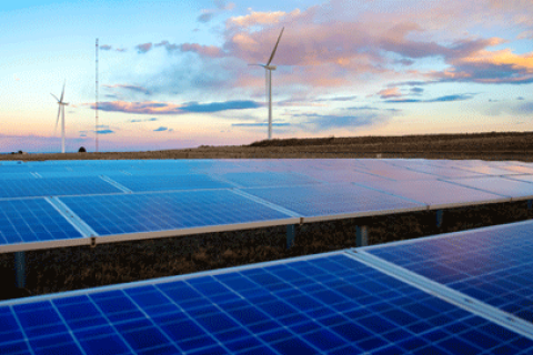 Solar panels in the foreground with wind turbines in the background.fed