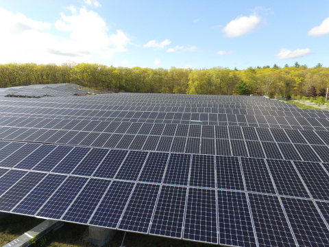 Photo of a large solar photovoltaic installation with trees in the backdrop