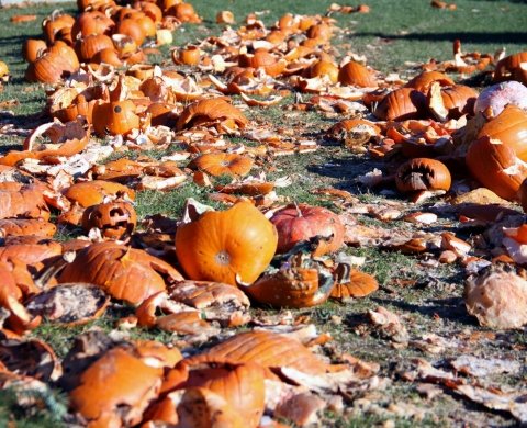 Smashed pumpkins