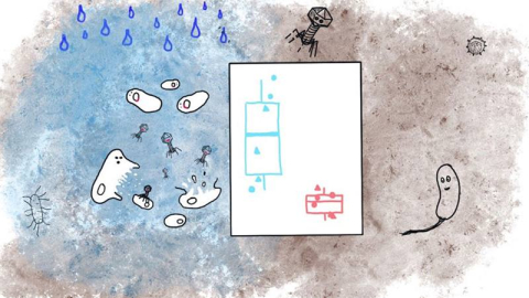 Soil moisture influences the composition and activity of DNA and RNA viruses. The bar graph indicates higher DNA virus activity in wet soil (blue) compared to dry soil (red).