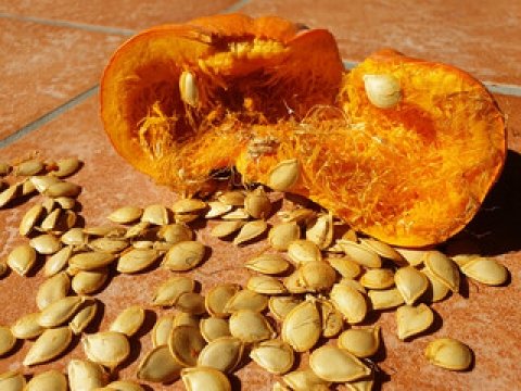 Pumpkin as food