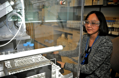 a person working in a lab