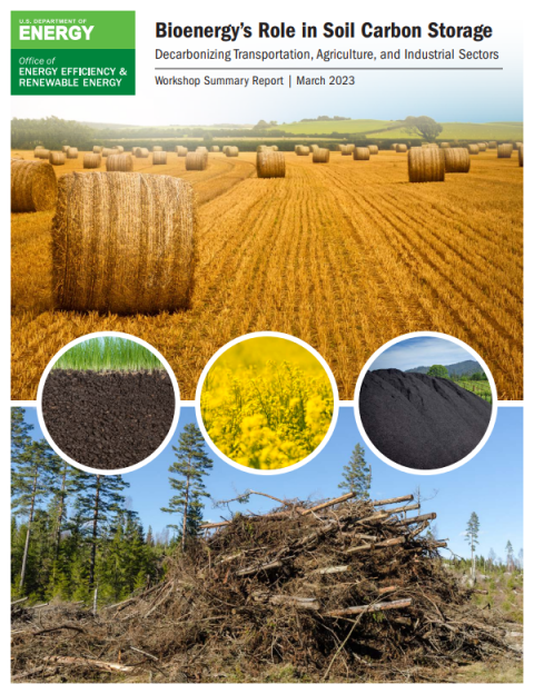 BETO Bioenergy’s Role in Soil Carbon Storage Report Cover