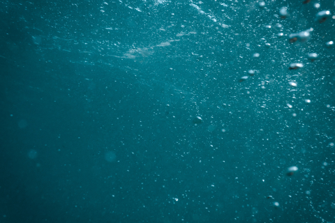 bubbles forming underwater