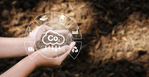 beto-soil-carbon