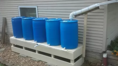 Rain Barrels