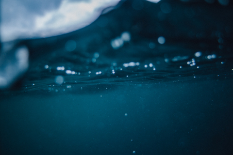 underwater shot with small bubbles near the surface