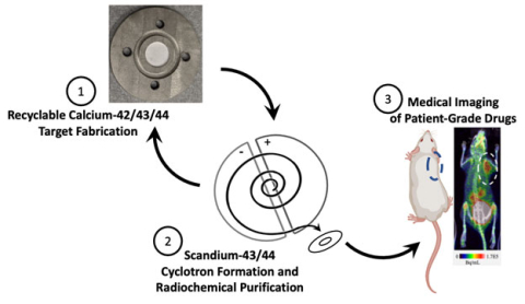 Summary of the production process for radioisotopes of scandium using recyclable, enriched calcium.