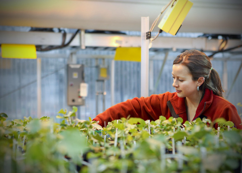 a photo of a person working on an indoor greenhouse