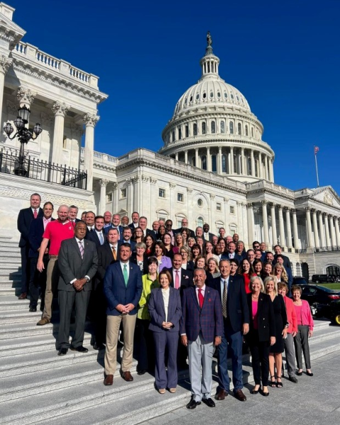 Group of professionals on Capitol steps