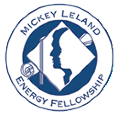 Mickey Leland Energy Fellowship logo