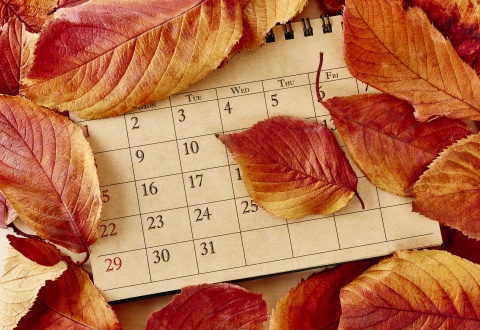 Fall Calendar 