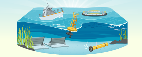 Power at sea hero image