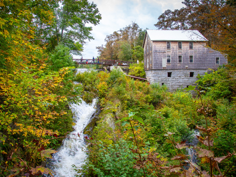 A hydropower facility in a forest
