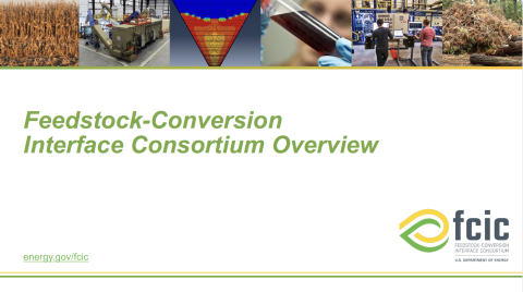 FCIC slide cover image