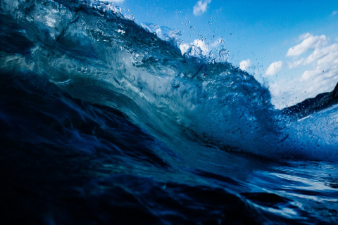 a cresting wave viewed from below