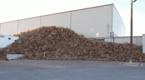 A gif of rotating pictures of tumbleweed
