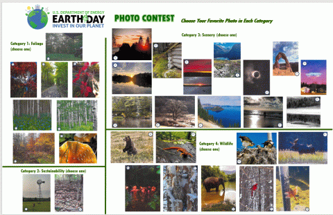 An Earh Day poster with wildlife and nature photos on it. 