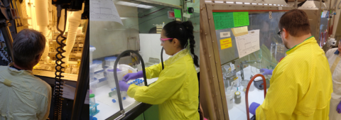 A collage of three scientist with yellow lab coats working with their hands in a protective plastic box