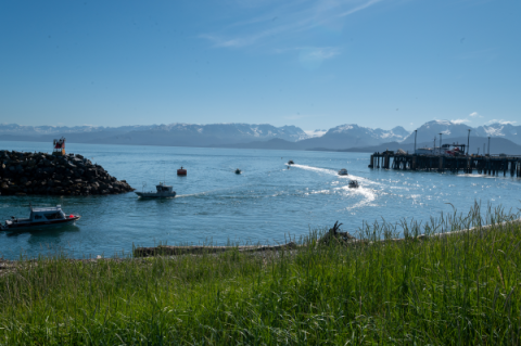 boats entering and exiting a harbor