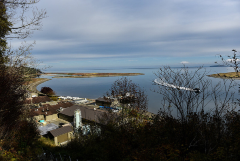 Aerial view of Sequim Bay, Washington