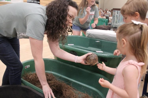 A woman holds a turtle overtop of a bin filled with hay. A little girl stands beside her and reaches for the turtle 