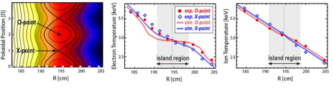 The first measurement of ion temperature in magnetic islands identified a steep gradient, providing insights for improving plasma confinement in tokamaks.