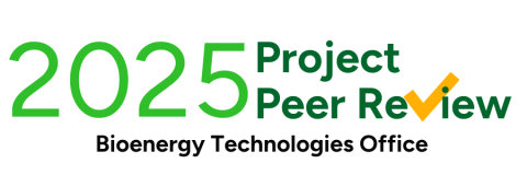 2025 Project Peer Review Logo